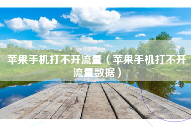 苹果手机打不开流量（苹果手机打不开流量数据）