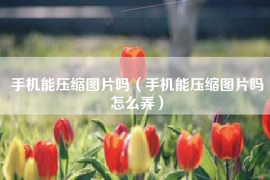 手机能压缩图片吗（手机能压缩图片吗怎么弄）