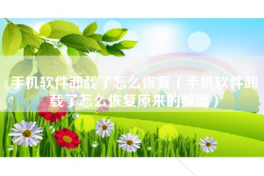 手机软件卸载了怎么恢复（手机软件卸载了怎么恢复原来的数据）