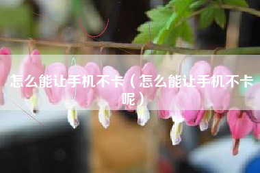怎么能让手机不卡（怎么能让手机不卡呢）